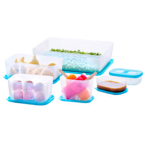 Varmora | Freezer / Fridge Storage Containers | 100% Food-Grade Plastic | Transparent w/ Blue Lid | FDA Approved & BPA-Free | Stackable Design | Refrigerator & Deep Freezer Safe