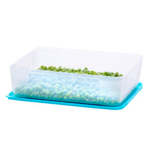 Varmora | Freezer / Fridge Storage Containers | Trasparent W/t Blue Lid | Food-Grade Plastic | Stackable Design | FDA Approved & BPA-Free | 5000 ML