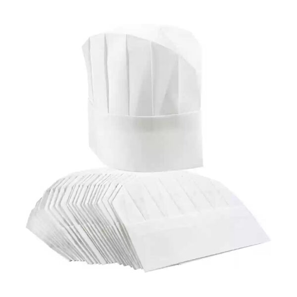 CHIEF HATS